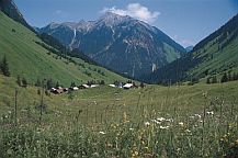 Wander Urlaub auf dem Bauernhof in Tirol, Österreich
