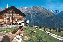 Ferien auf dem Bauernhof in Mieming Tirol